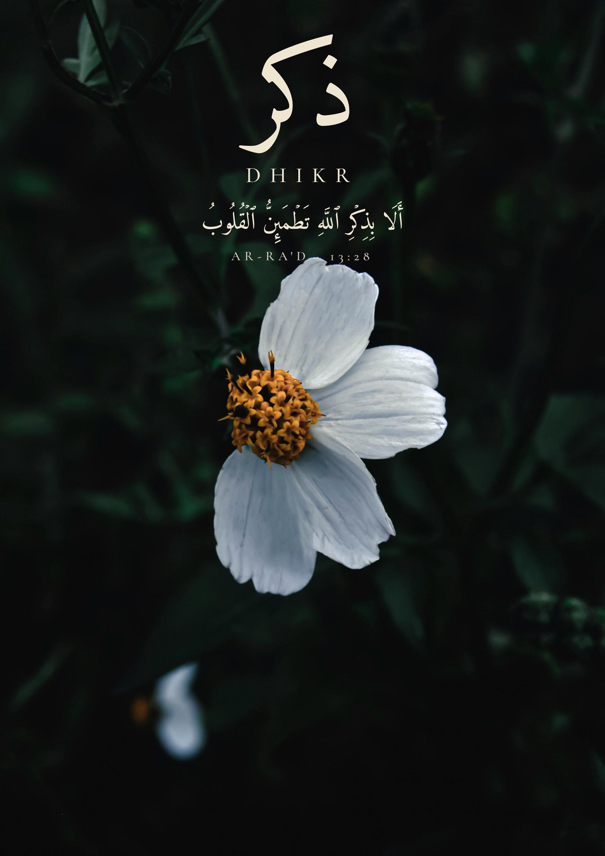 Dhikr