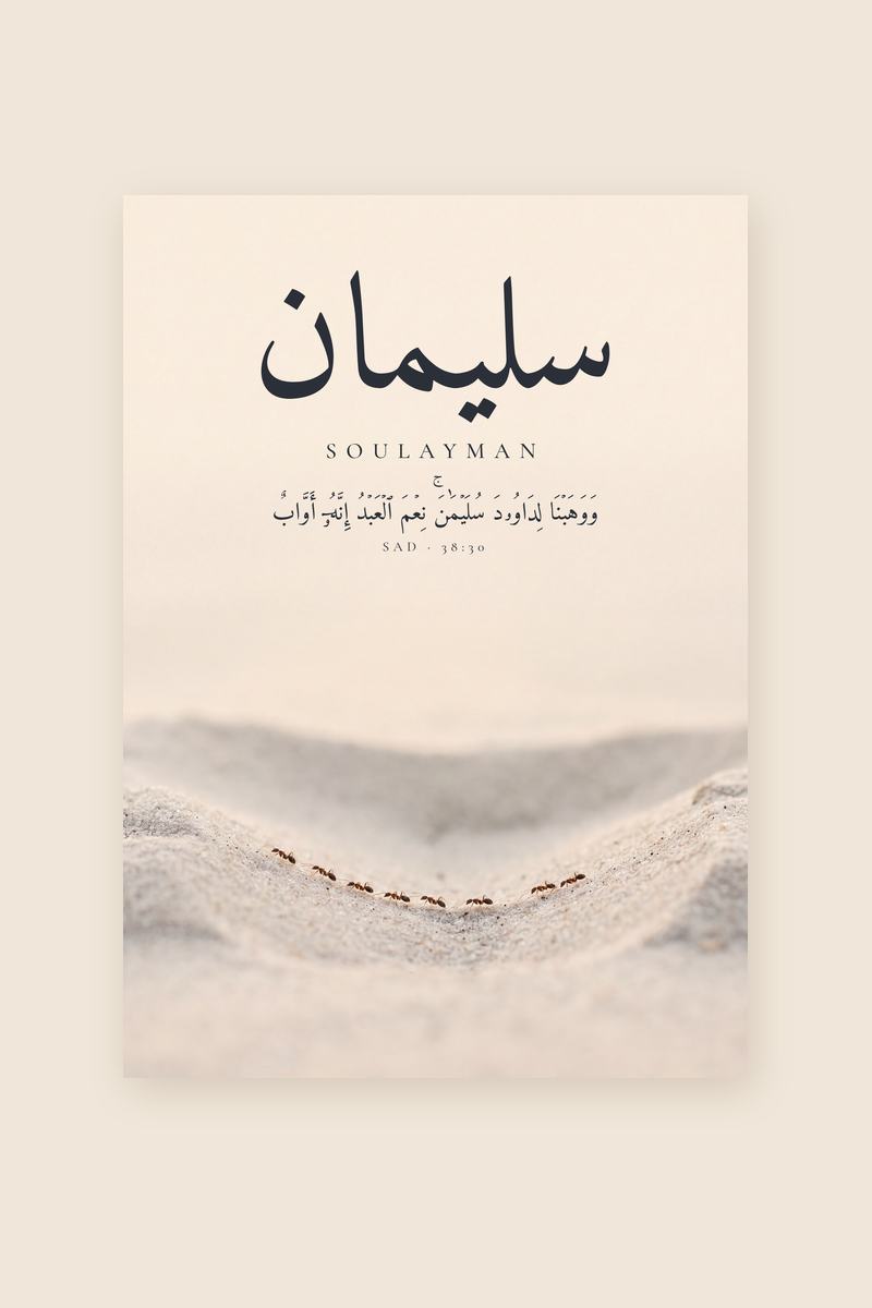 Soulayman, Sourate Sad, verset 30