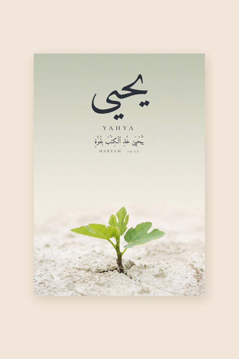 Yahya, Sourate Maryam, verset 12